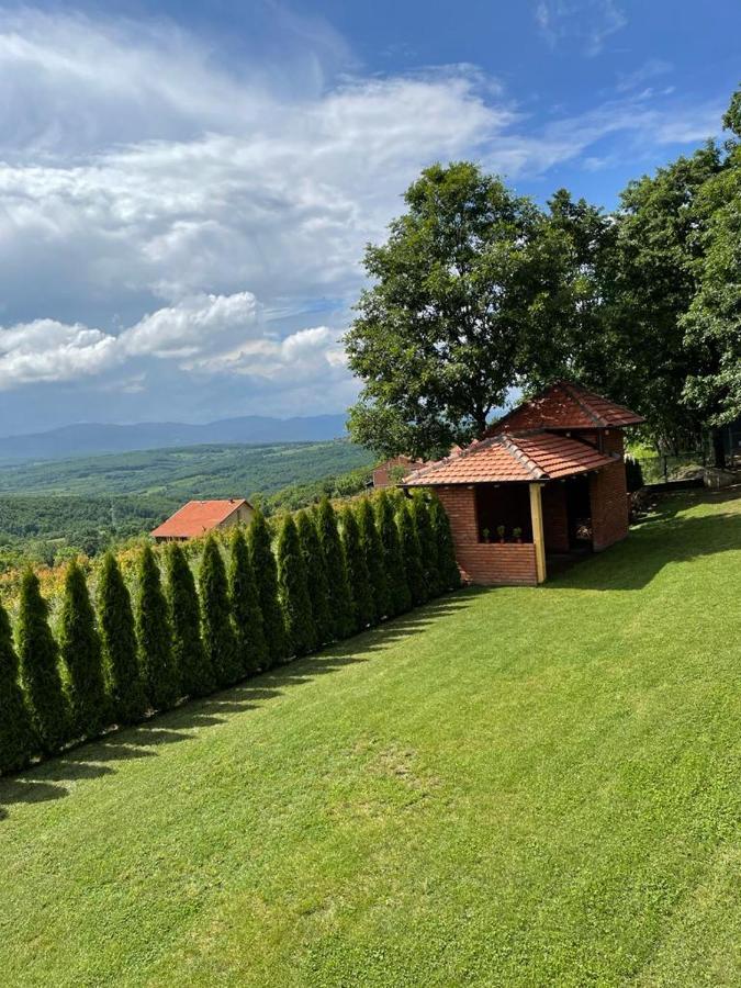 Apartmani Milosavljevic Kursumlija Zewnętrze zdjęcie